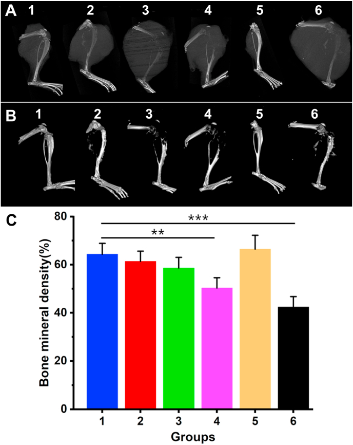 Fig. 6