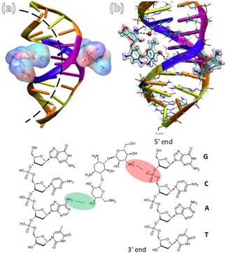 Figure 18