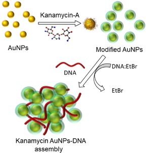 Figure 14