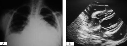 Figure 1)