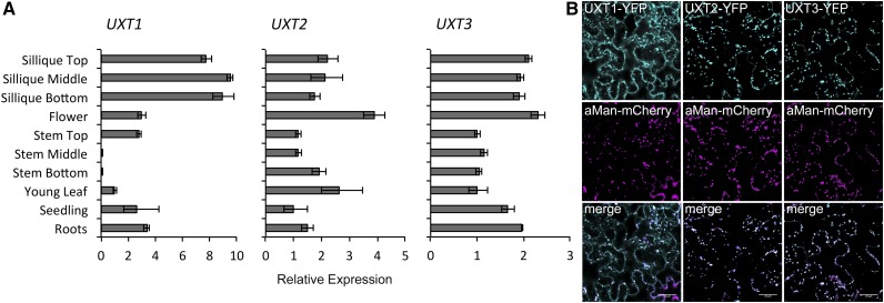 Figure 2.