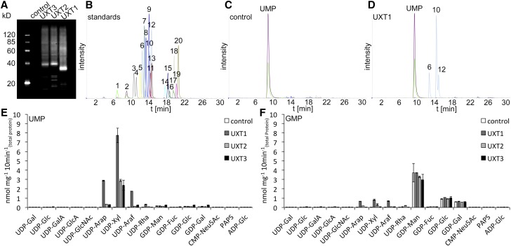 Figure 3.