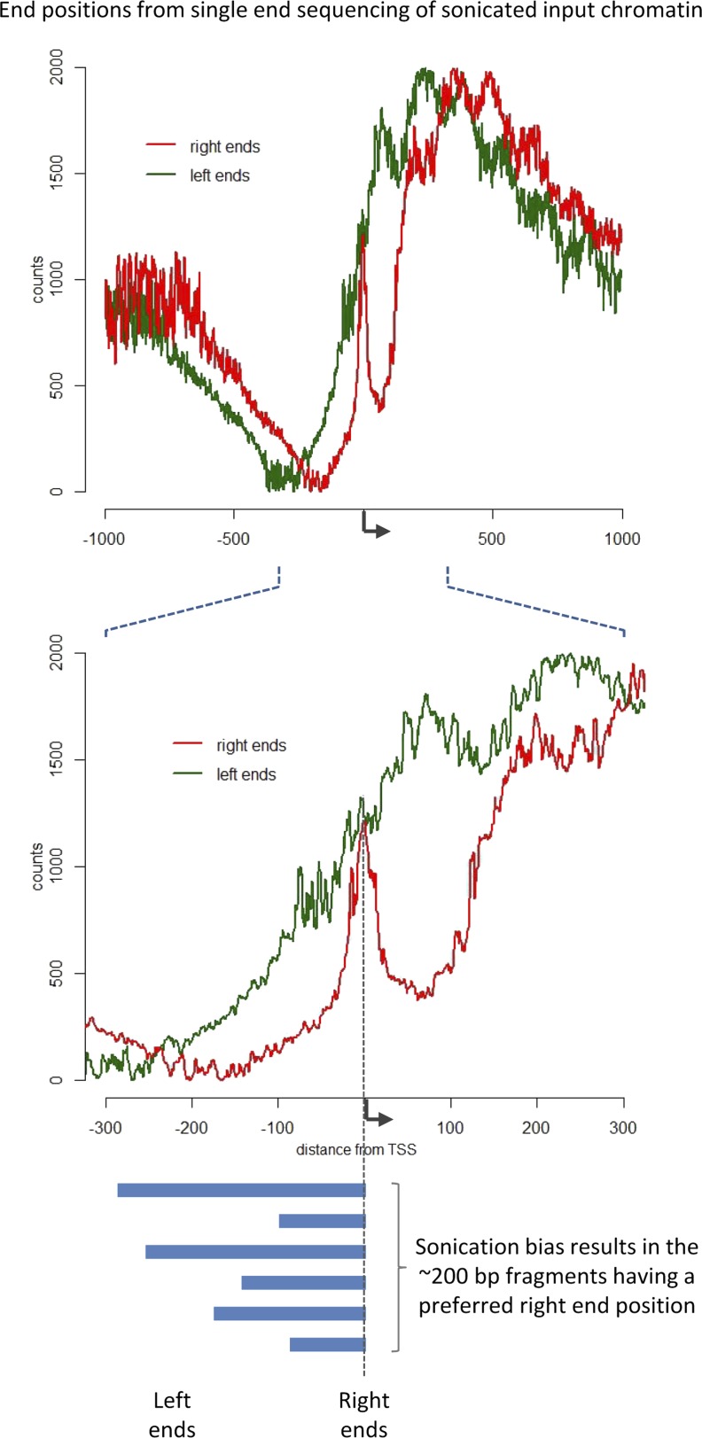 Figure 1—figure supplement 1.