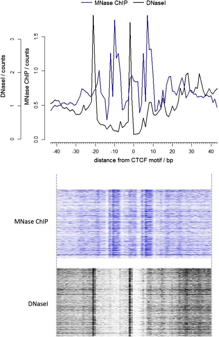 Figure 3—figure supplement 2.