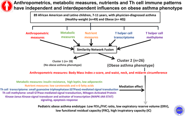 graphic file with name nihms-1816195-f0001.jpg