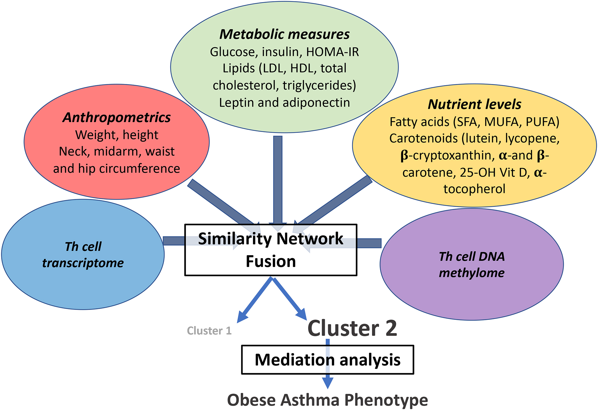 Figure 1.