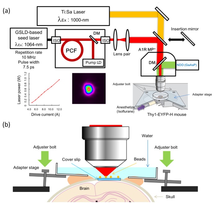 Fig. 1