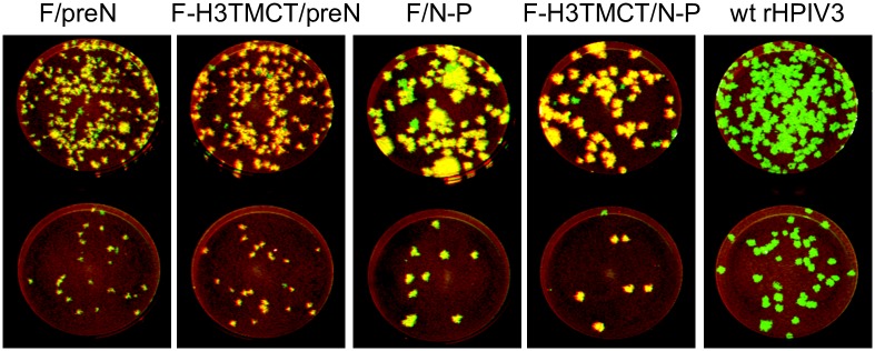 Fig 6