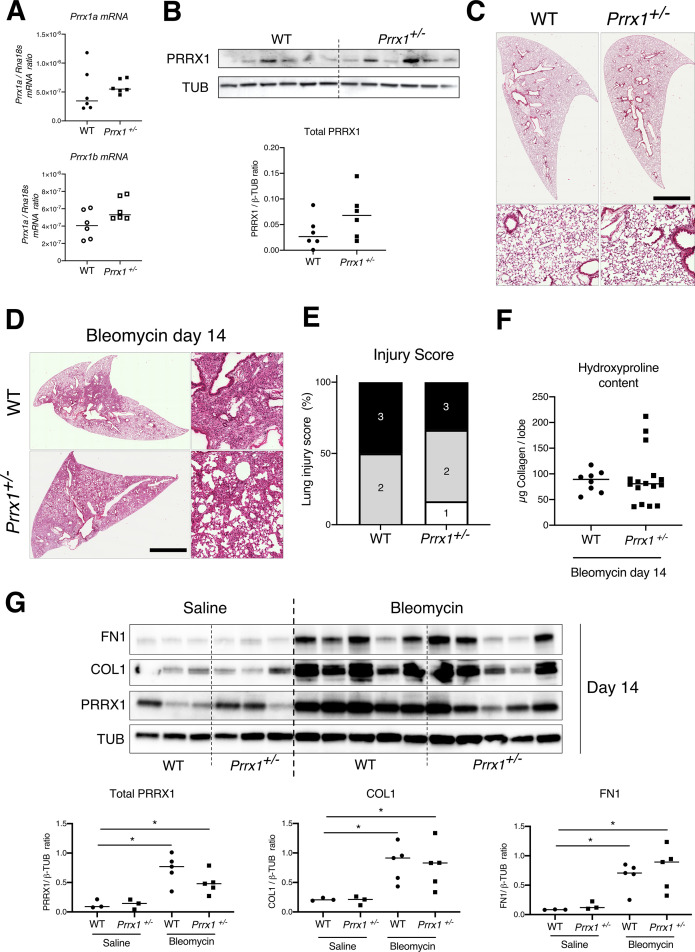 Figure 6—figure supplement 2.