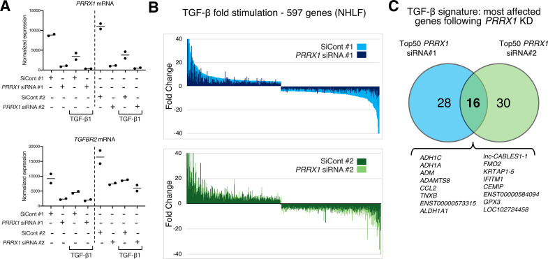 Figure 5—figure supplement 3.