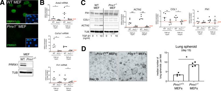 Figure 5—figure supplement 5.