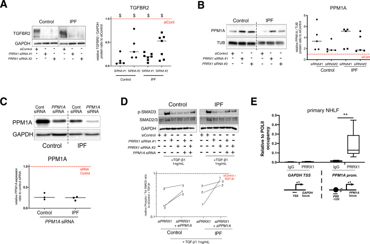 Figure 5—figure supplement 4.