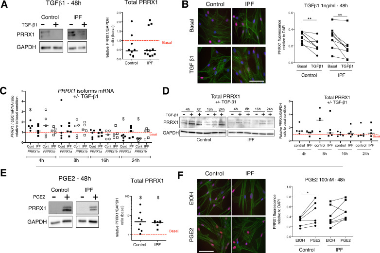 Figure 3—figure supplement 1.