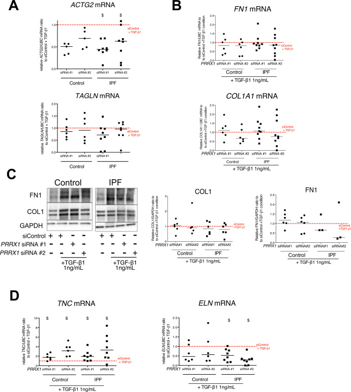 Figure 5—figure supplement 2.