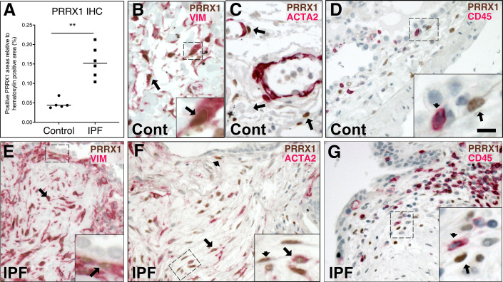 Figure 1—figure supplement 1.