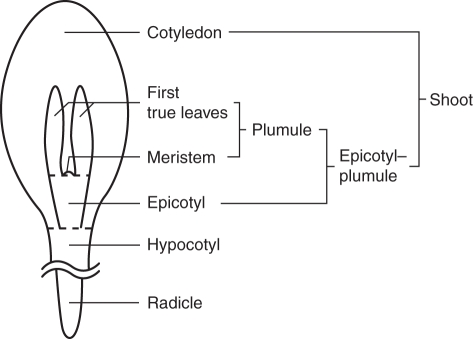 Fig 1.