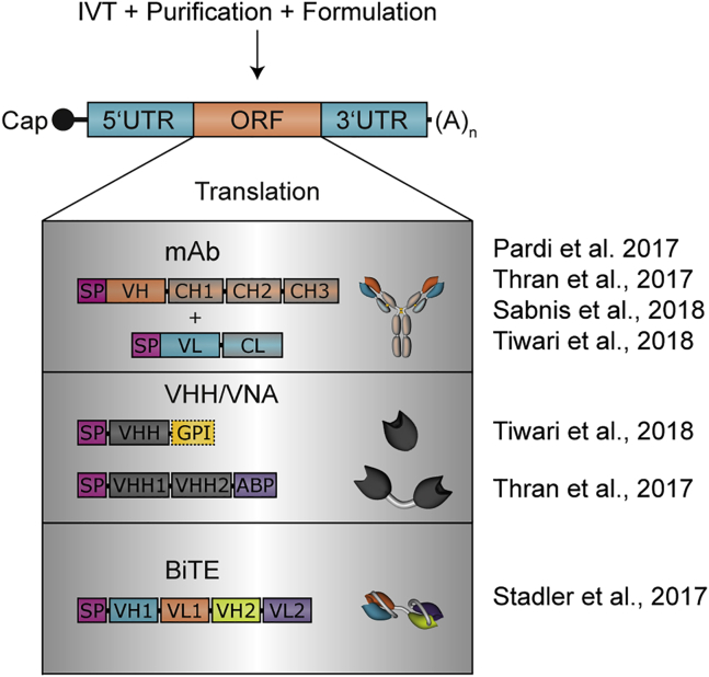 Figure 2