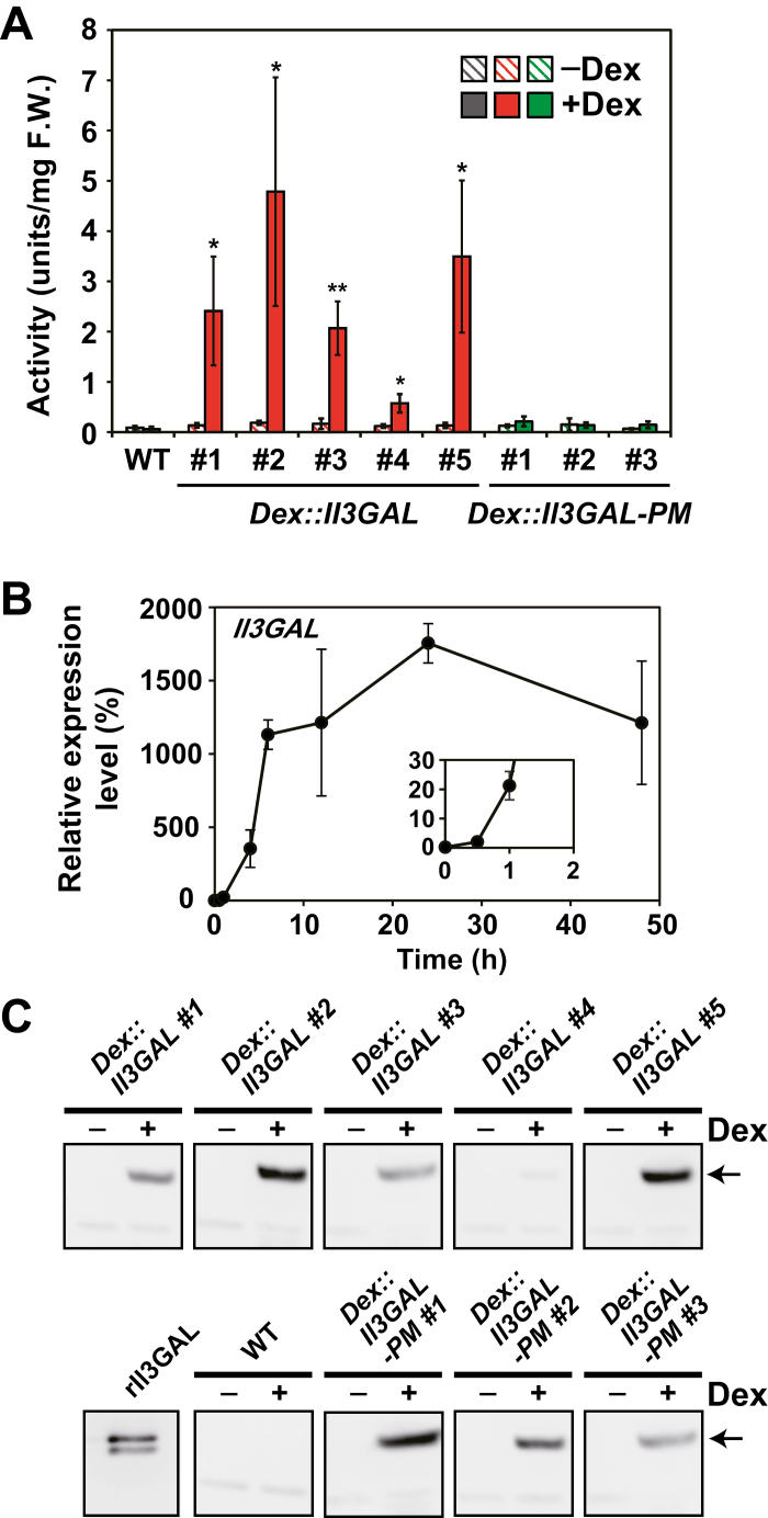 Fig. 3.