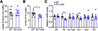Figure 17.