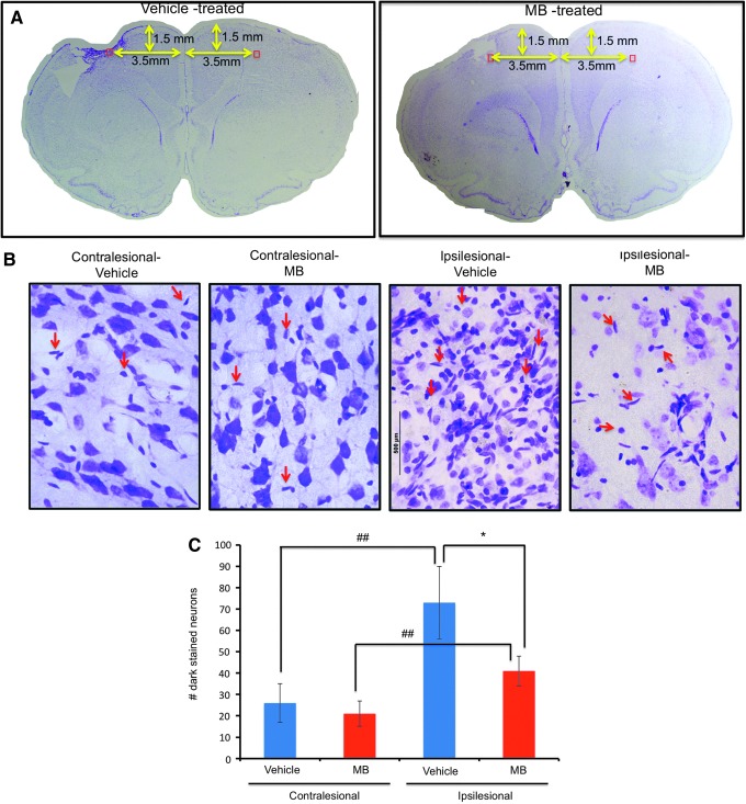 FIG. 4.