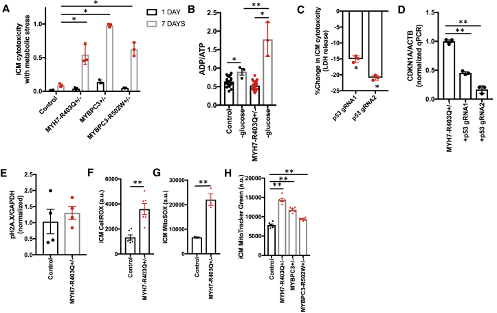 Figure 6