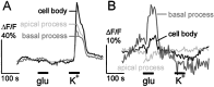 Fig. 6.