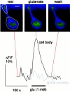 Fig. 4.