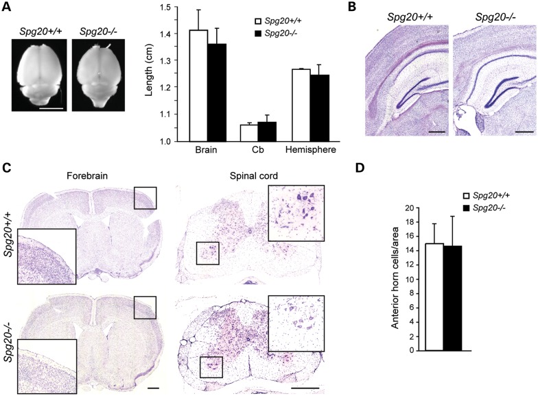 Figure 2.