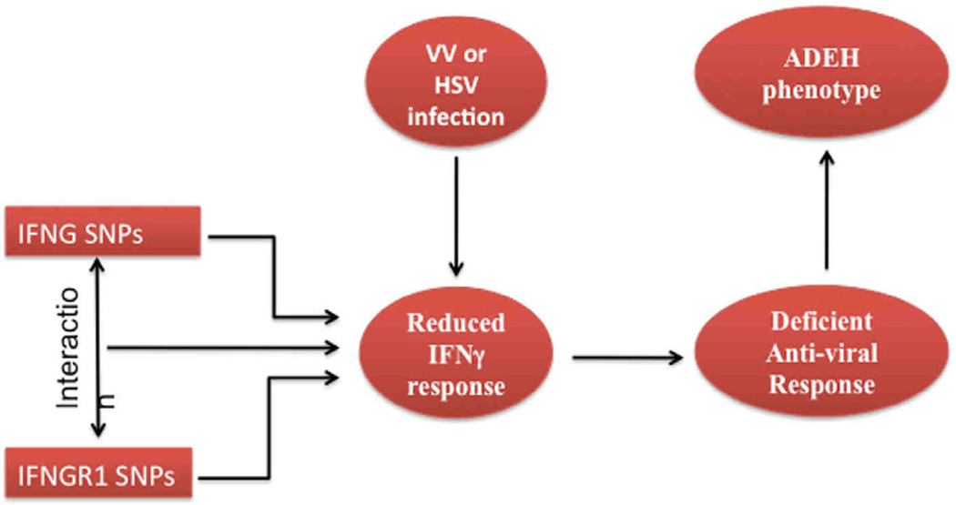 FIG 5