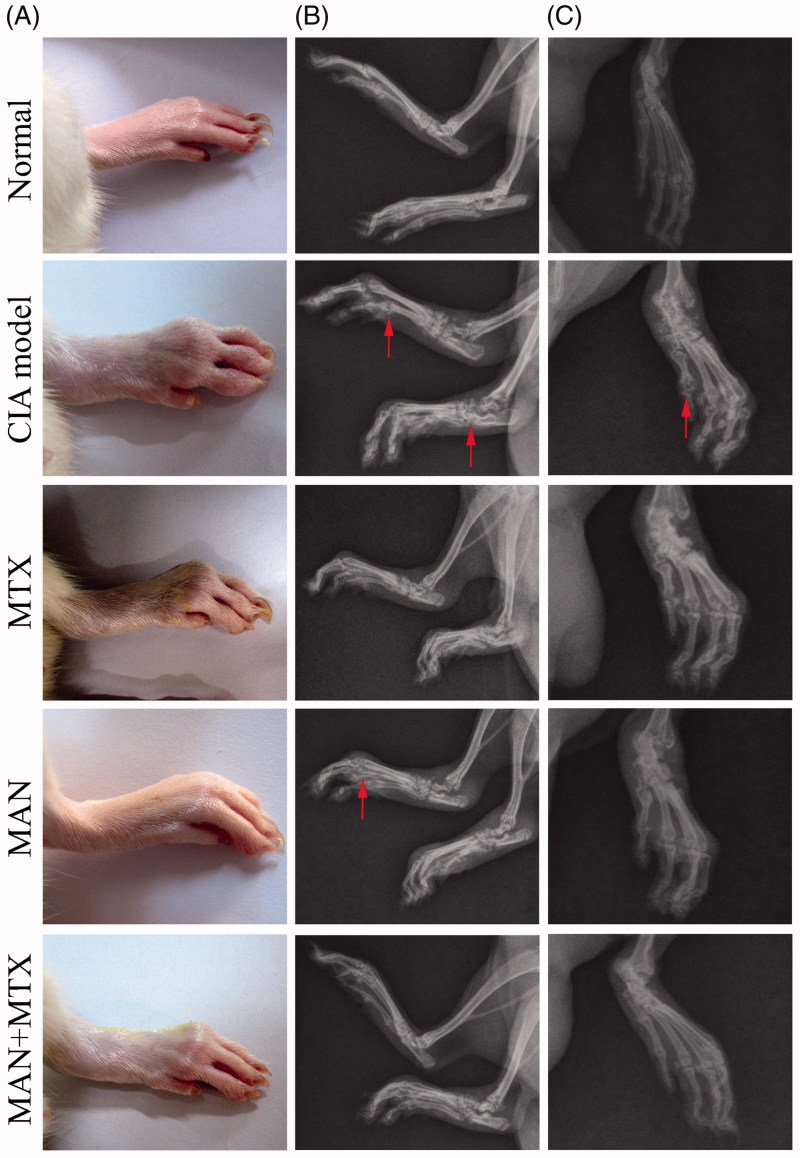 Figure 3.