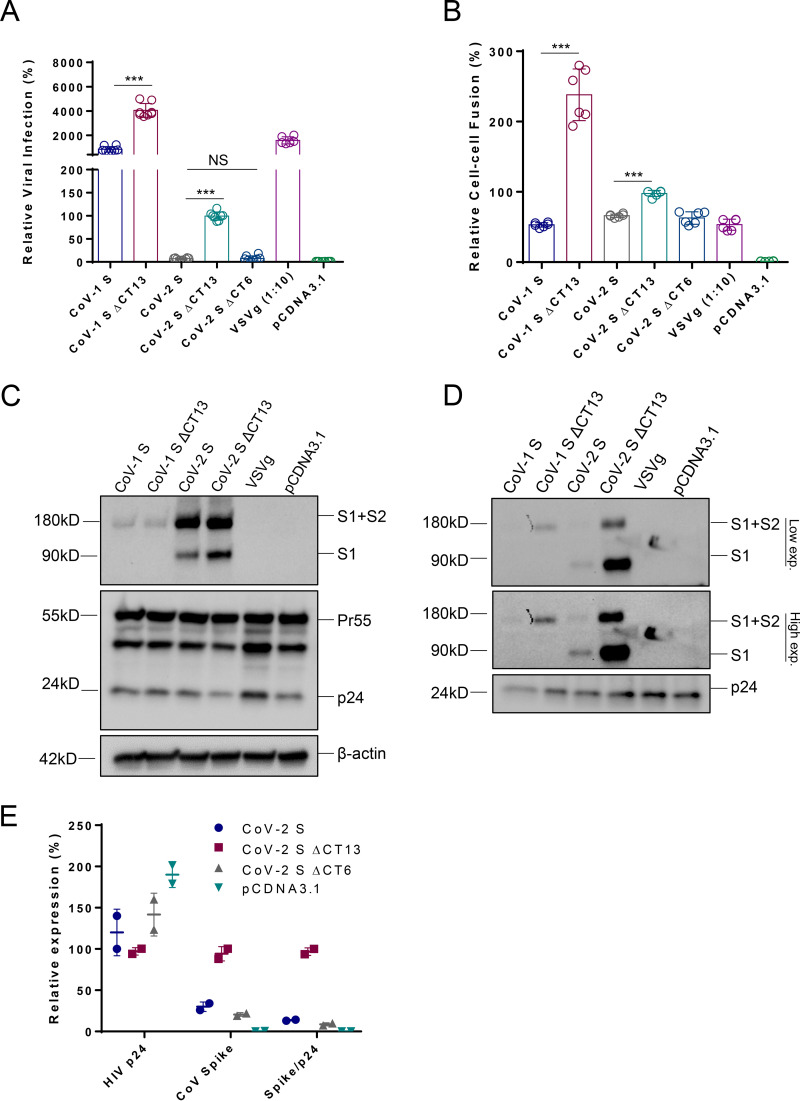 FIG 1