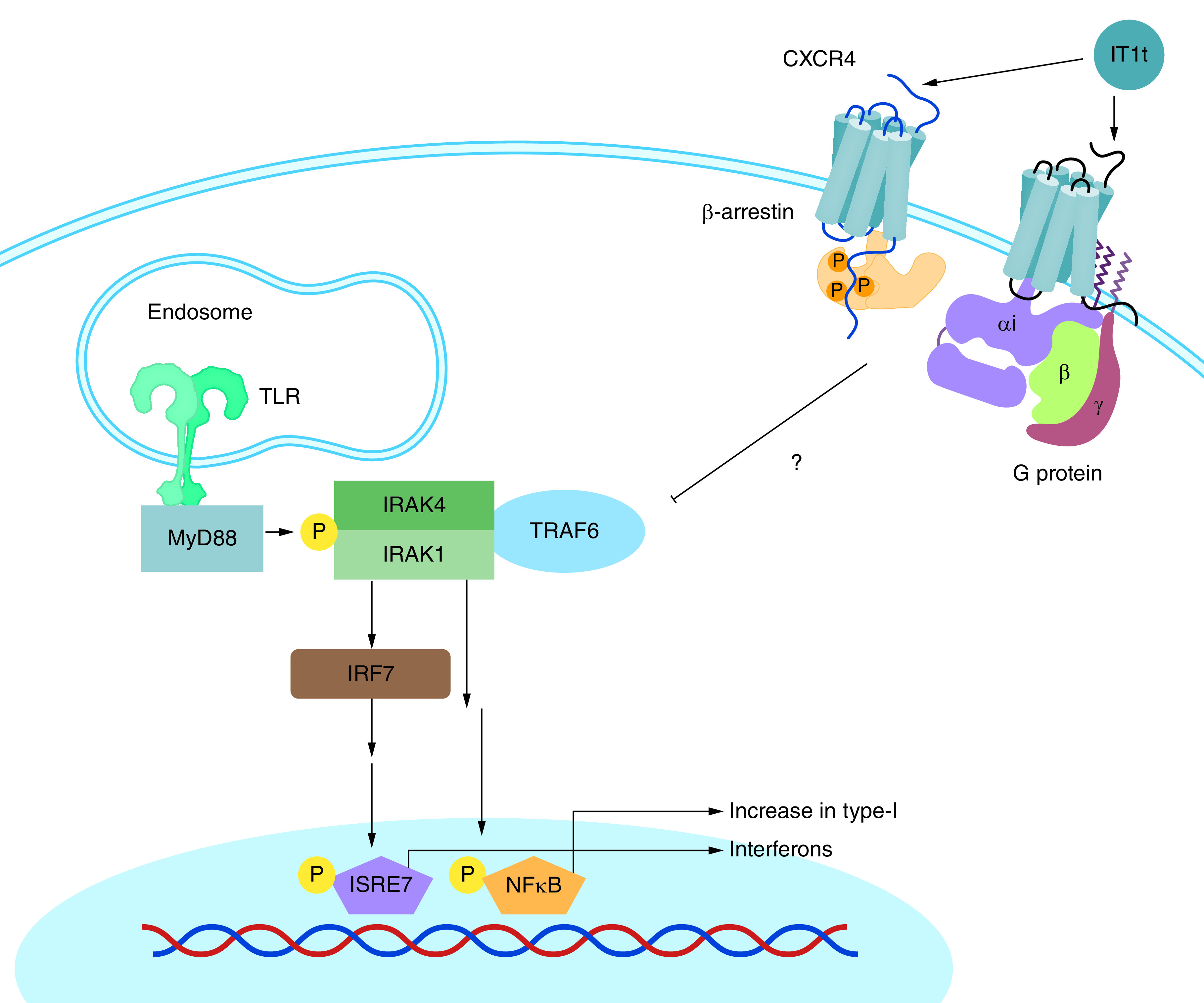 Figure 2. 