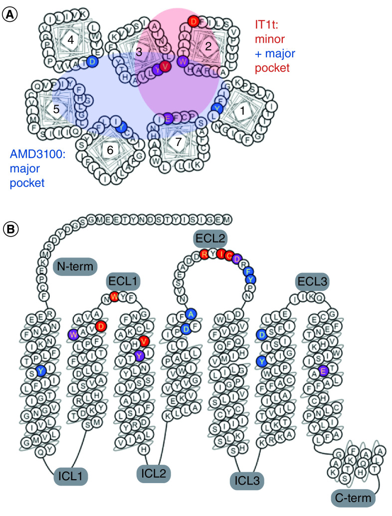 Figure 4. 