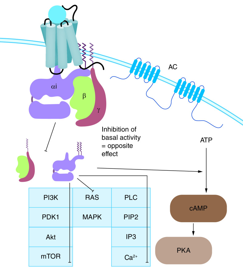 Figure 3. 