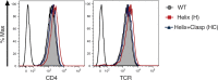 Figure 3—figure supplement 1.