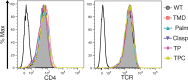 Figure 2—figure supplement 1.