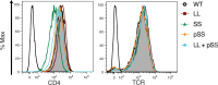 Figure 4—figure supplement 1.