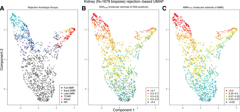 FIGURE 12.