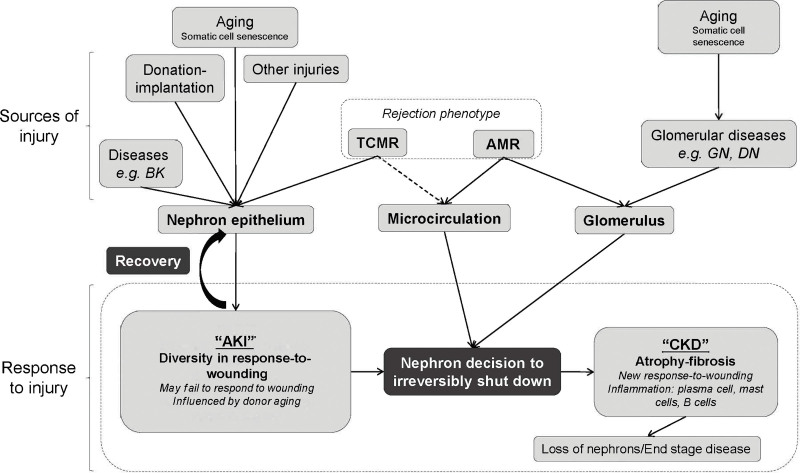 FIGURE 17.