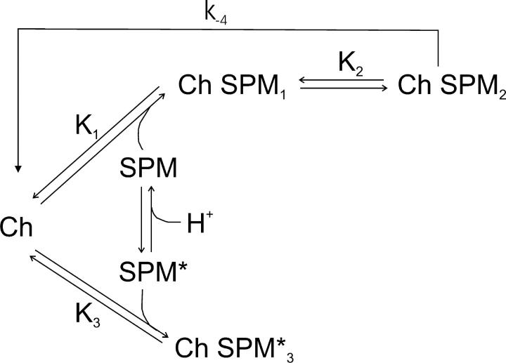 Figure 11. 