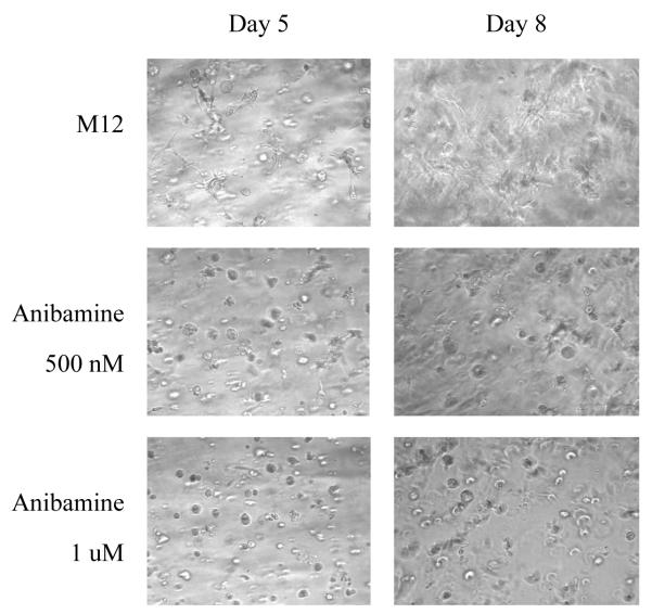 Figure 6