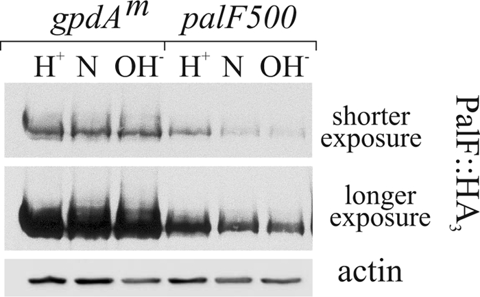 FIGURE 4.