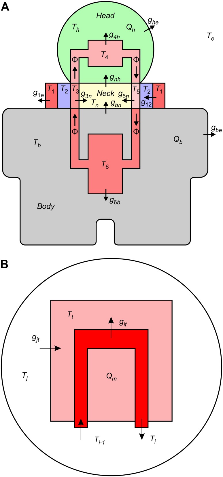 Fig. 1