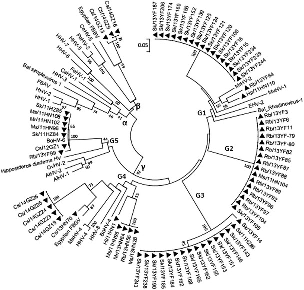 Fig. 1