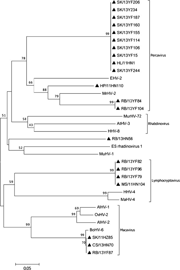 Fig. 2