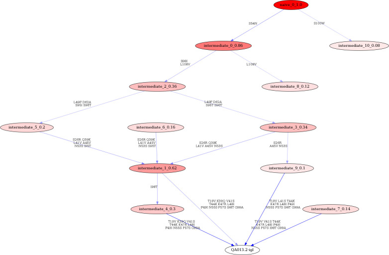 Figure 1—figure supplement 3.