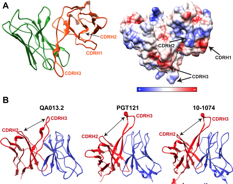 Figure 3—figure supplement 1.