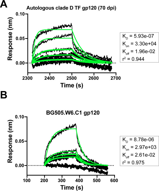 Figure 7—figure supplement 2.