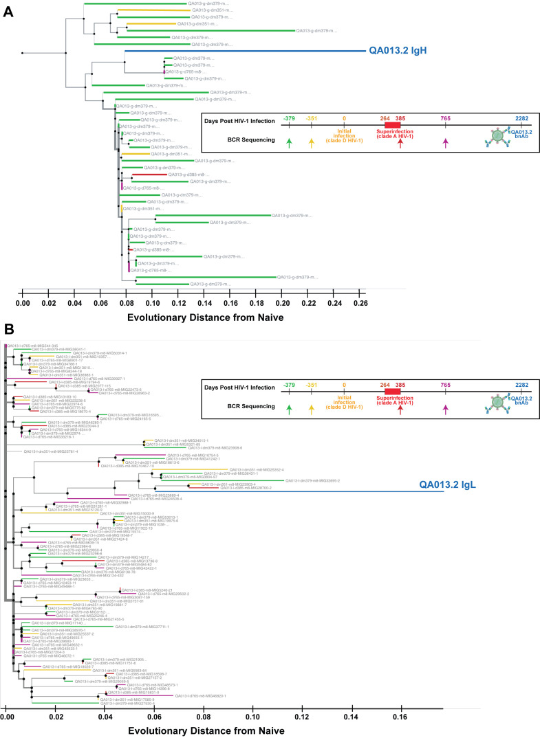 Figure 1—figure supplement 1.