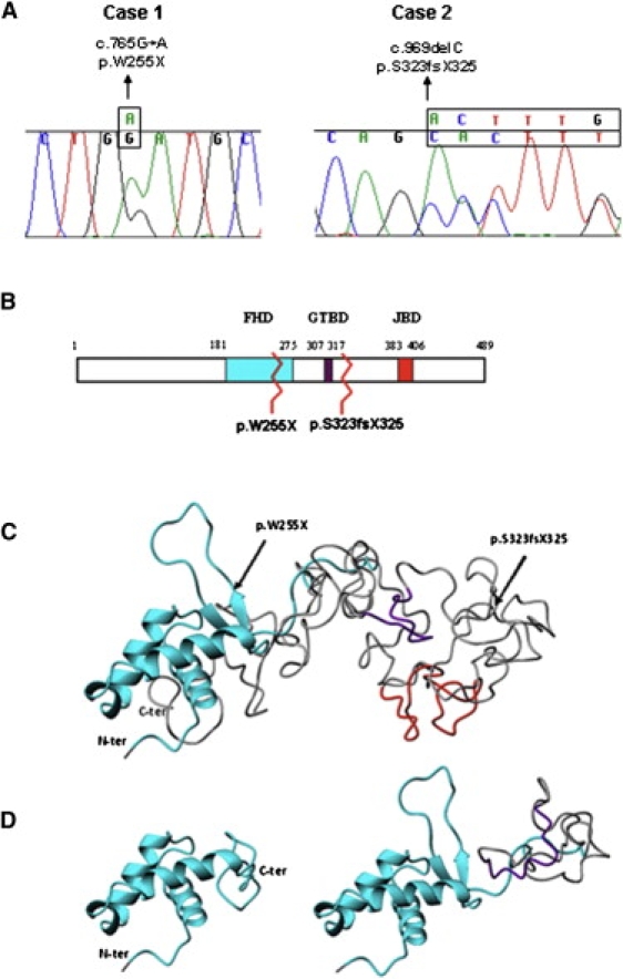 Figure 1